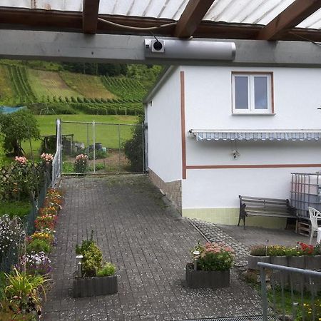 Zwei Ferienwohnungen "Im Weingarten " Burg  Exterior photo